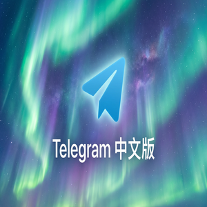Telegram 中文版与Signal相比，哪个更安全？（2024最新） - Telegram 官网