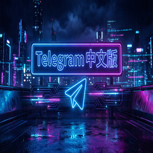 纸飞机中文版网页版使用方法与注意事项 - Telegram 官网